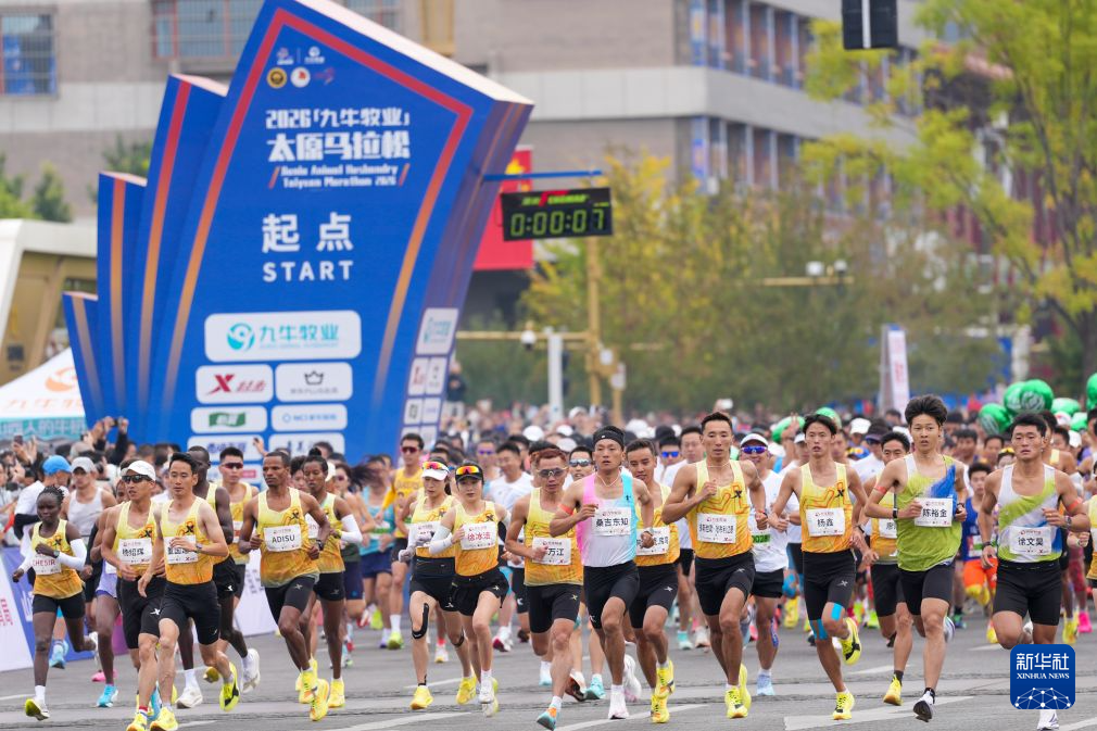专业成为玩家们享受游戏的欢乐之地。服务