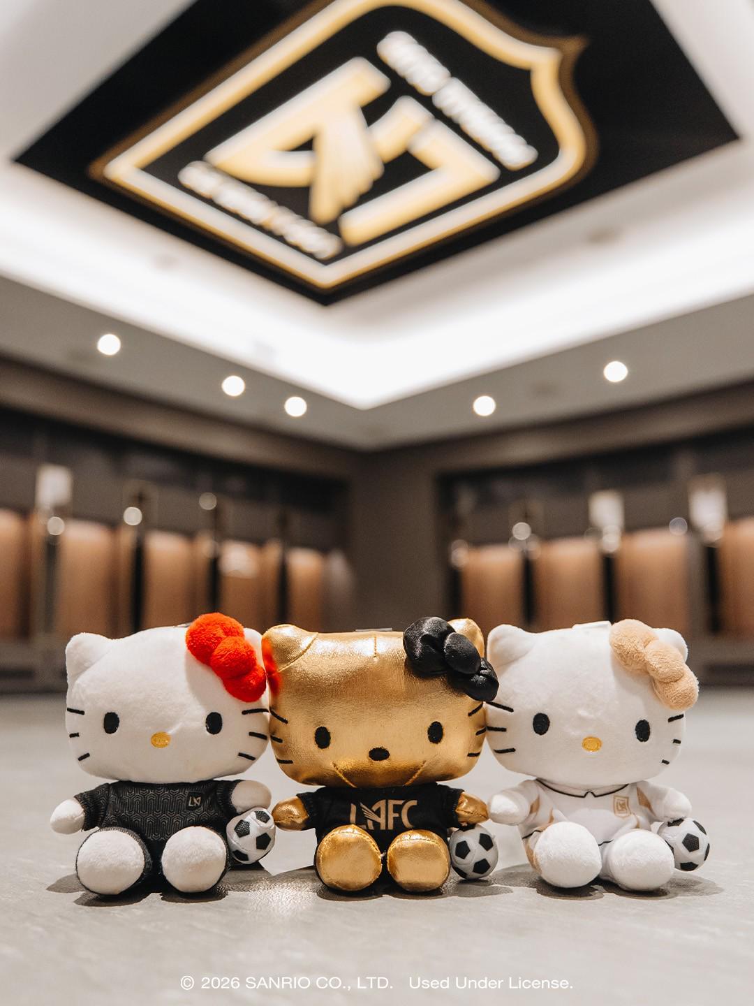 BG视讯展示图片